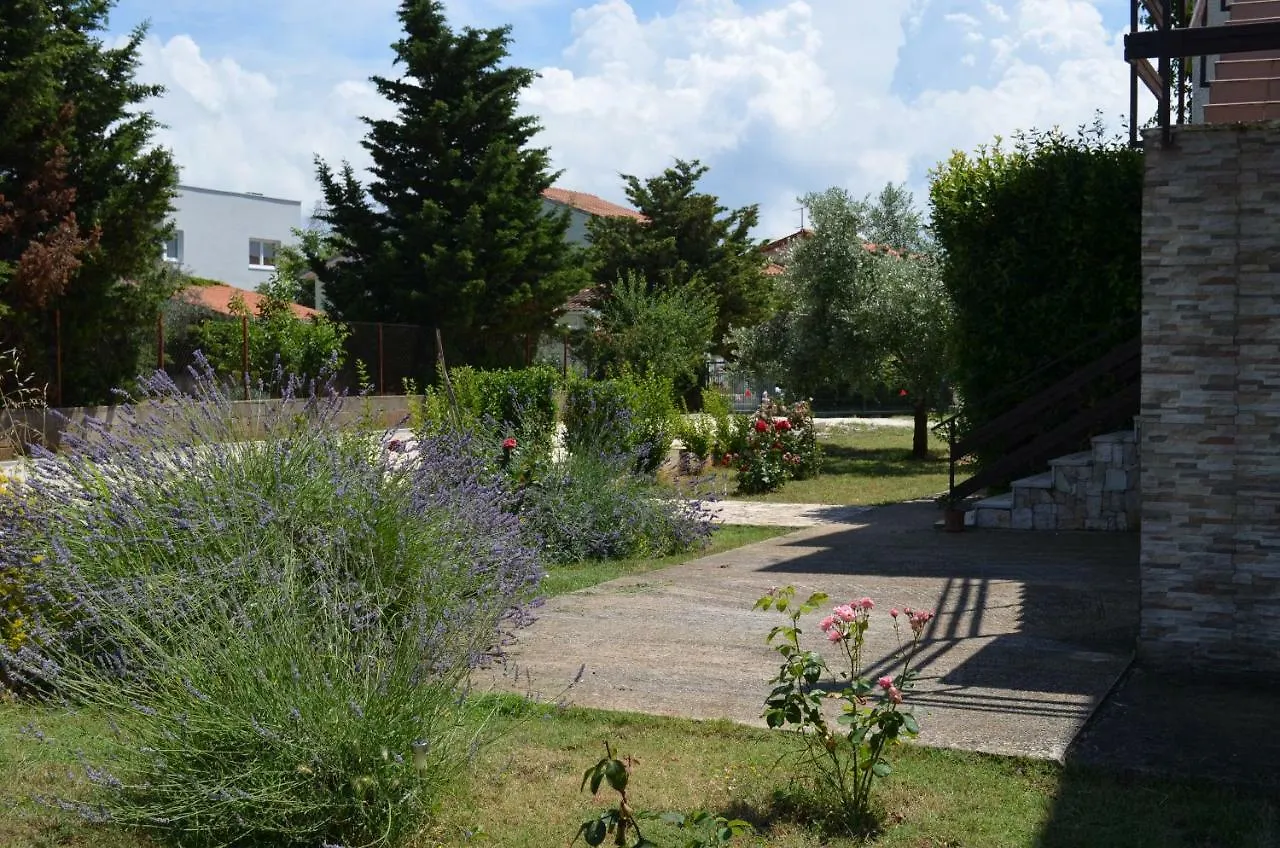 Apartments Niki Pula