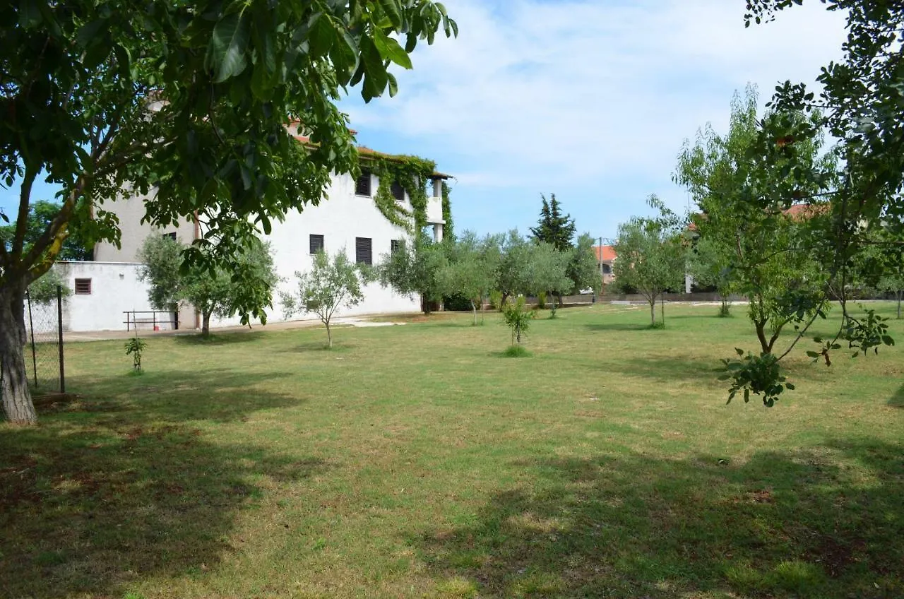Apartments Niki Pula